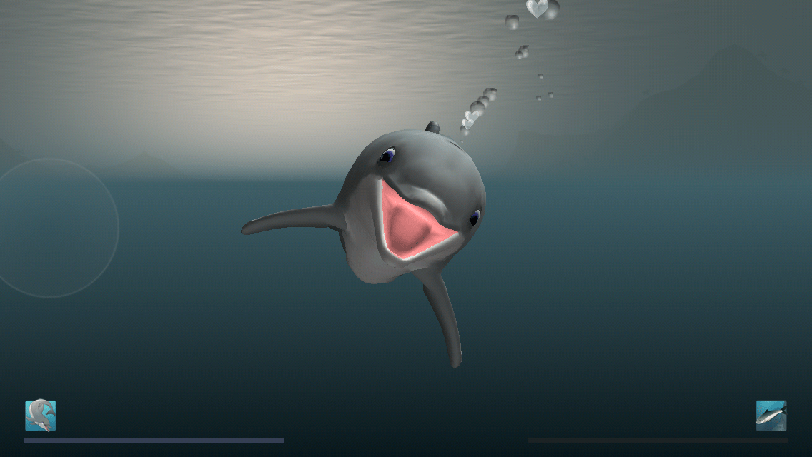 Dolphin Fish Game