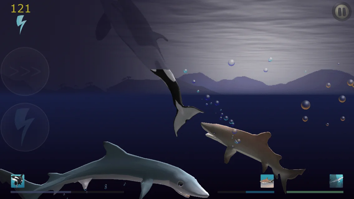 Shark Game: Dungeons And Dolphins