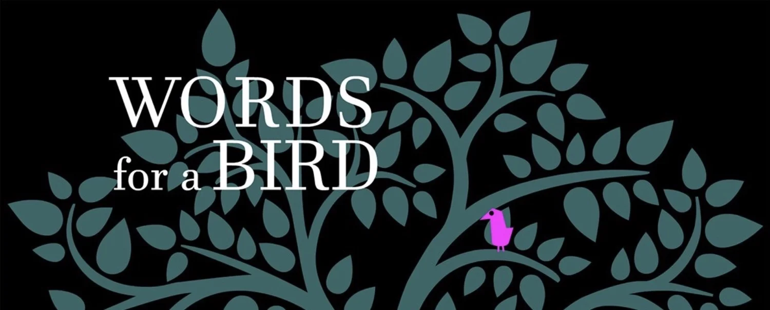 Read more about the article Words for a Bird: Walkthrough Guide